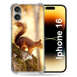 Coque Renforcée Pour Apple Iphone 16 Plus Animal Ecureuil Bois