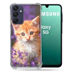 Coque Renforcée Pour Samsung Galaxy A16 5G Animal Chat Violet