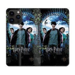 Housse Cuir Portefeuille Pour Iphone 16 Pro Plus Harry Potter Azkaban