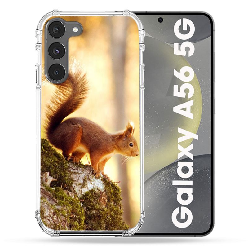 Coque Renforcée Pour Samsung Galaxy A56 5G Animal Ecureuil Bois