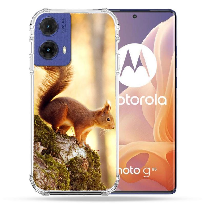 Coque Renforcée Pour Motorola G85 5G Animal Ecureuil Bois