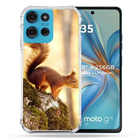 Coque Renforcée Pour Motorola G75 5G Animal Ecureuil Bois