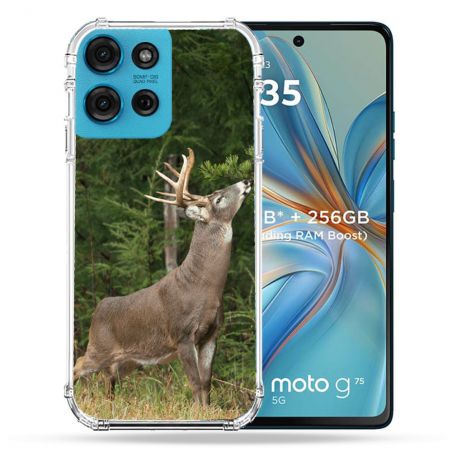 Coque Renforcée Pour Motorola G75 5G Chasse Cerf