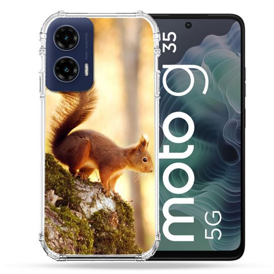 Coque Renforcée Pour Motorola G35 5G Animal Ecureuil Bois