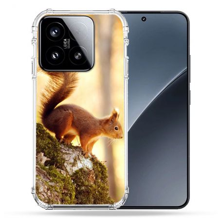 Coque Renforcée Pour Xiaomi 15 Animal Ecureuil Bois