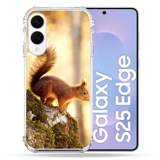 Coque Renforcée Pour Samsung Galaxy S25 EDGE Animal Ecureuil Bois