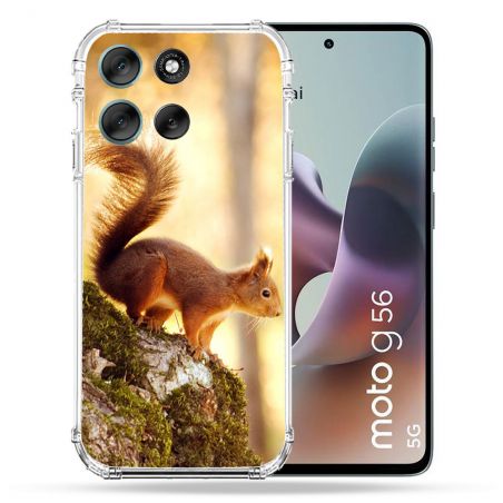 Coque Renforcée Pour Motorola G56 5G Animal Ecureuil Bois