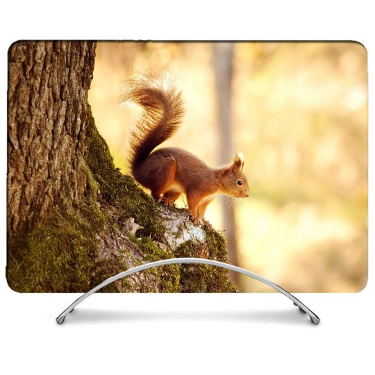 Coque Intégrale Pour MacBook Air 15 Pouces Animal Ecureuil Bois