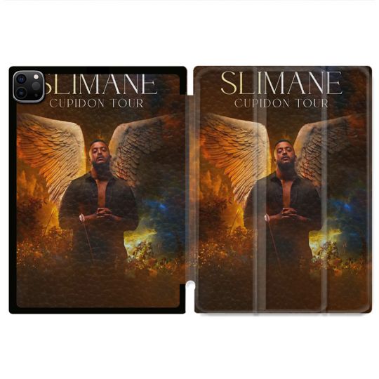 Coque Renforcée Pour Ipad Pro 13 M5 Musique Slimane Ange