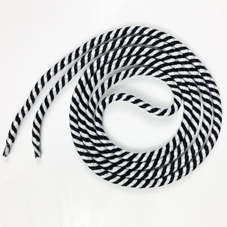 Coque Pour Iphone 16e avec Lanière Cordon Rayé