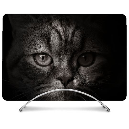 Coque Renforcée Pour MacBook Neo Animal Chat Gris
