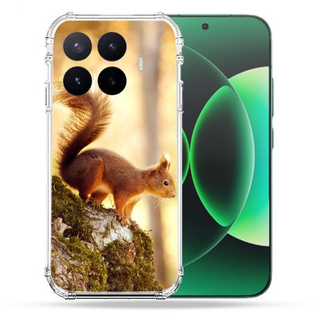 Coque Renforcée Pour Xiaomi 17T Animal Ecureuil Bois
